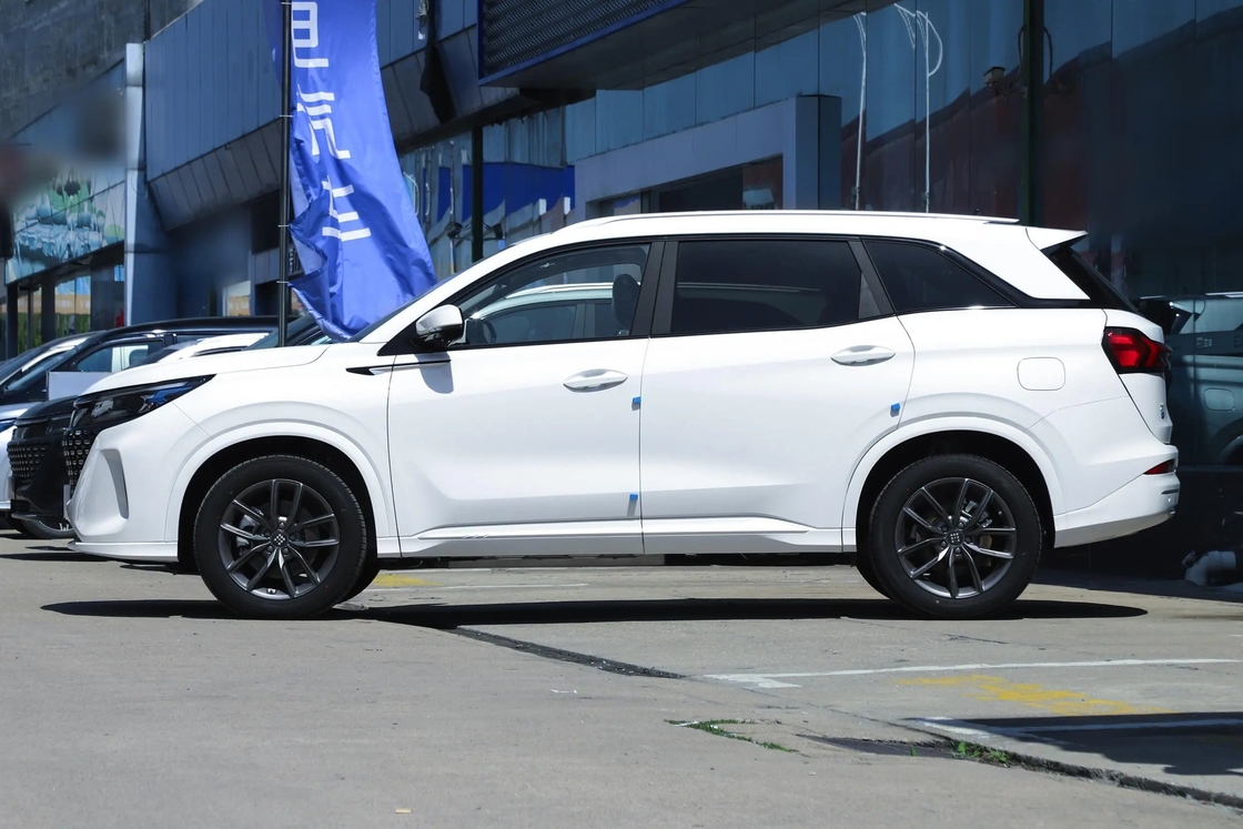 Blue Electric E5 Seres voiture électrique pour une conduite abordable et sans émission